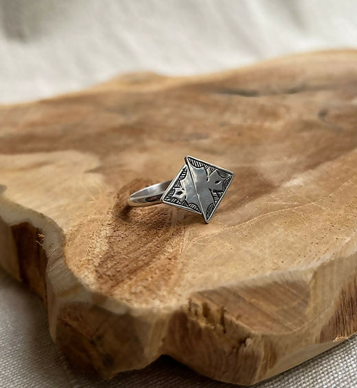 daec0c_b287b787f0f044f59082c8c8eb49dff9~mv2