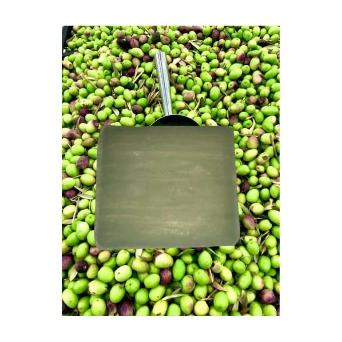 Ismailia Handcrafted Olive Oil Soap - The Twin Brother of Aleppo Soap