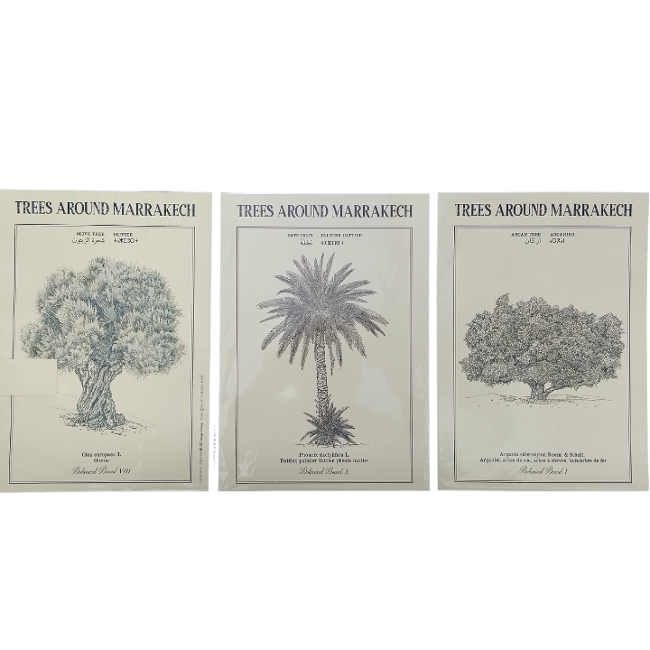 Trees of Morocco Trio Botanical board