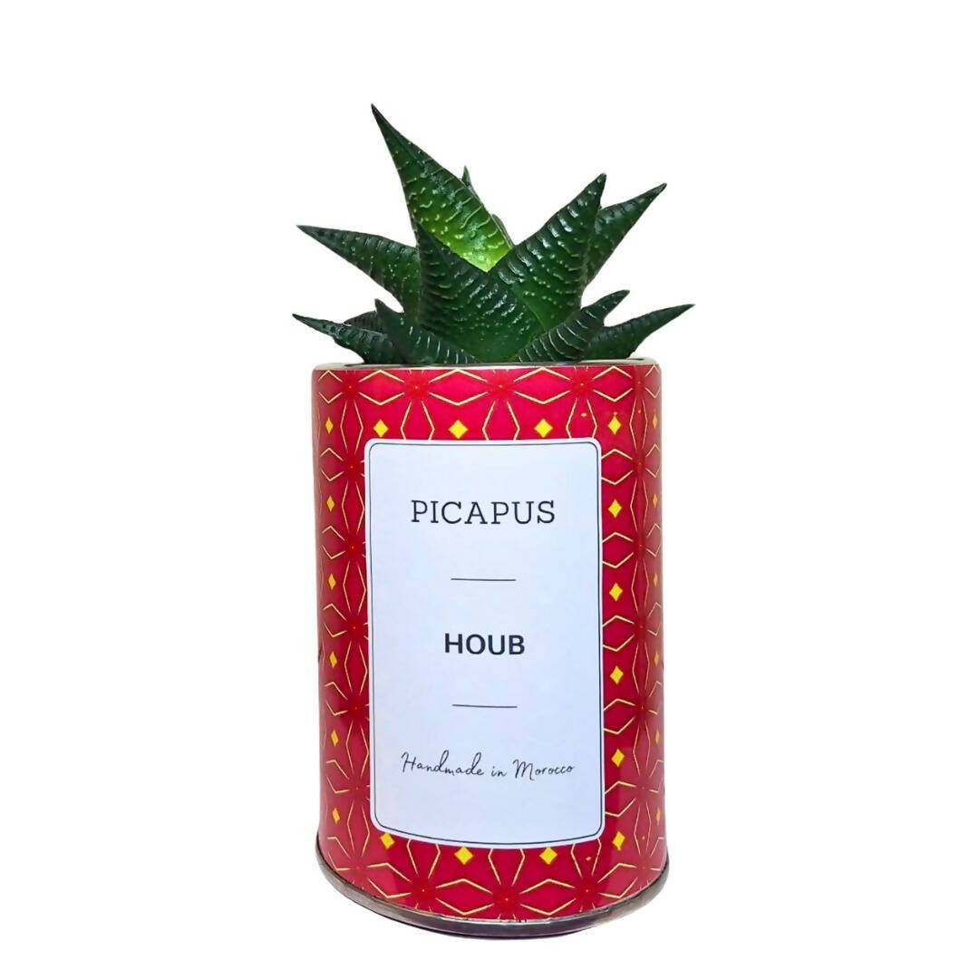 HOUB Cactus