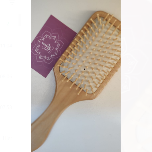 Hair brush