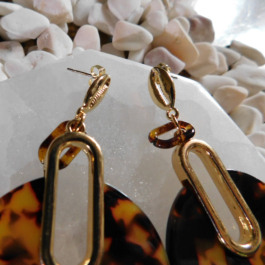 Earrings shell cauri