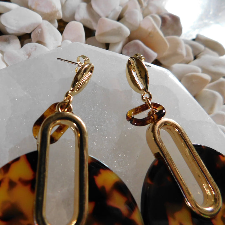 Earrings shell cauri