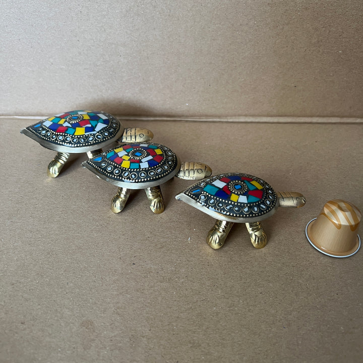 Turtle Set - Blue
