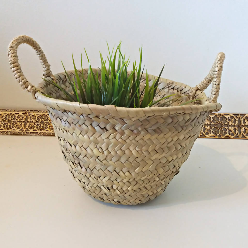 Mini Straw Pot for Plants – MyTindy