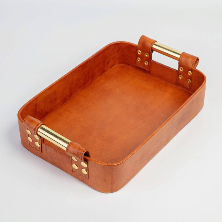 Golden Handles Leather Tray