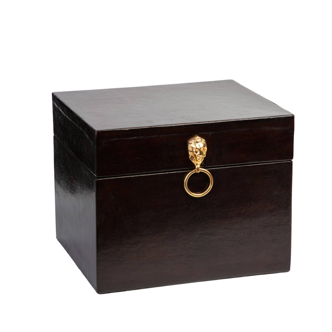 Lion Handle Leather Trunk