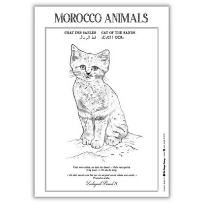 Zoological chart CHAT DES SABLES Poster