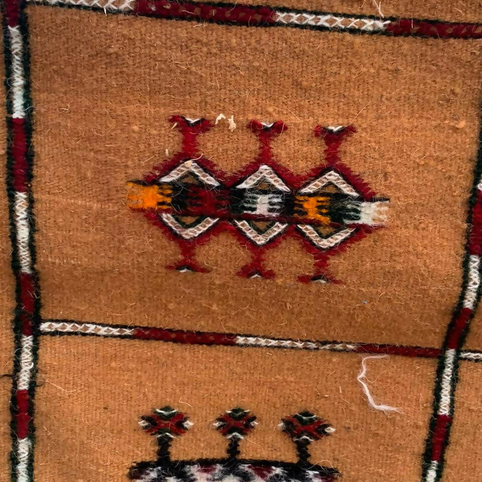 Orange Berber Carpet