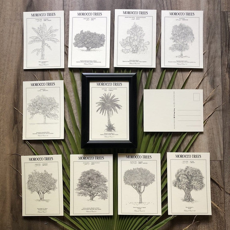 LOT OF 10 POSTCARDS - Botanical boards POSTERS