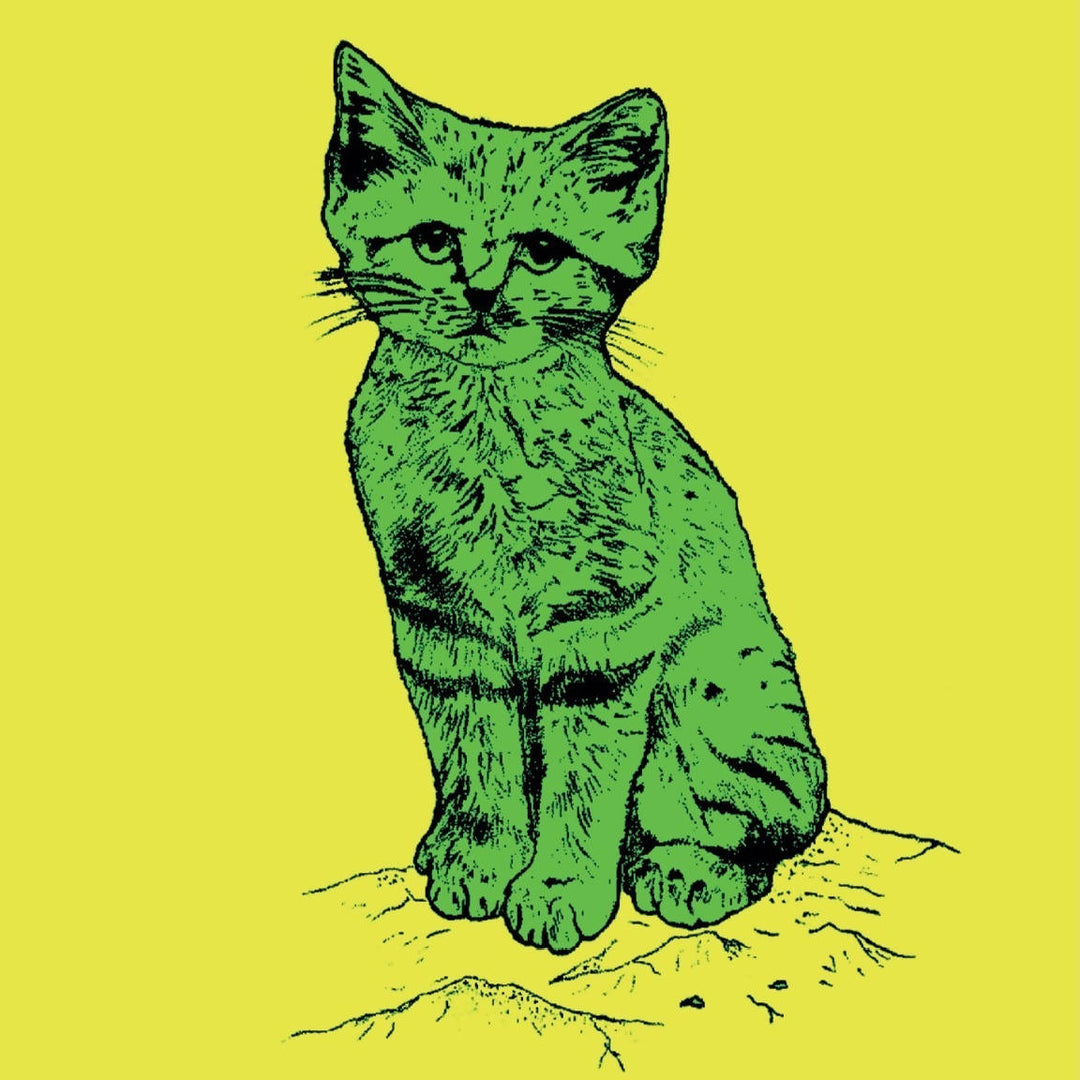 SAND CAT version POP Poster